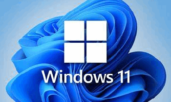 游戏党的福音-Windows11 游戏优化精简版 22621.1105（专业版）爱搞定制的井修改版-PC软件库